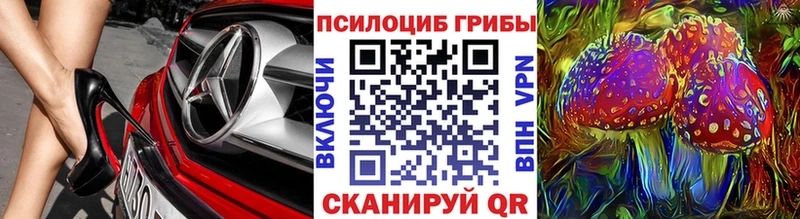 Галлюциногенные грибы Magic Shrooms blacksprut онион Шимановск хочу наркоту